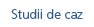 Studii de caz